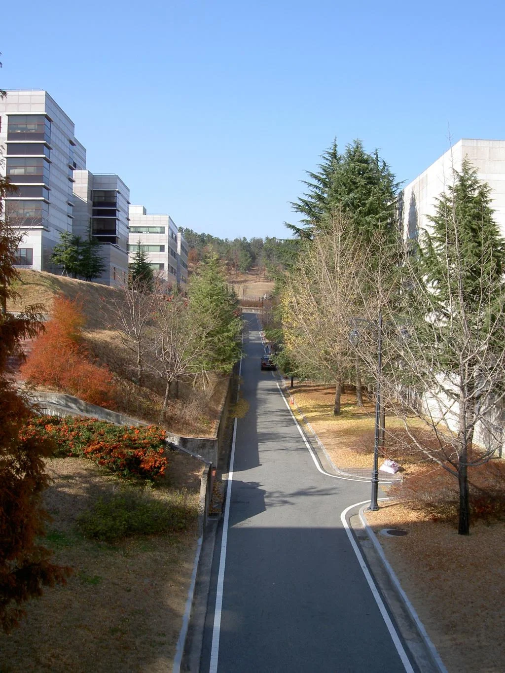 포항공과대학교 3