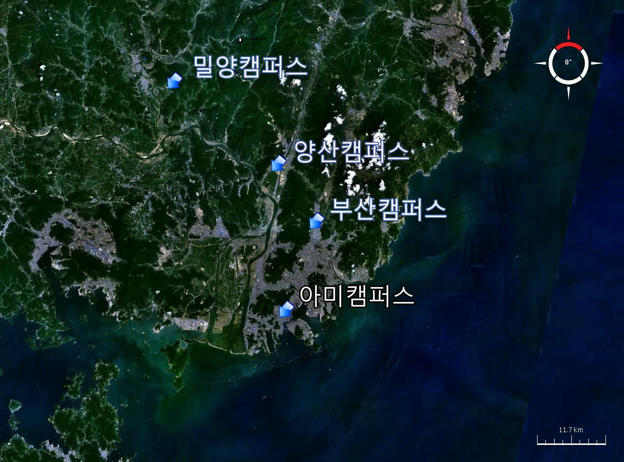 부산대학교 2