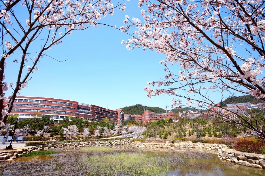 신라대학교