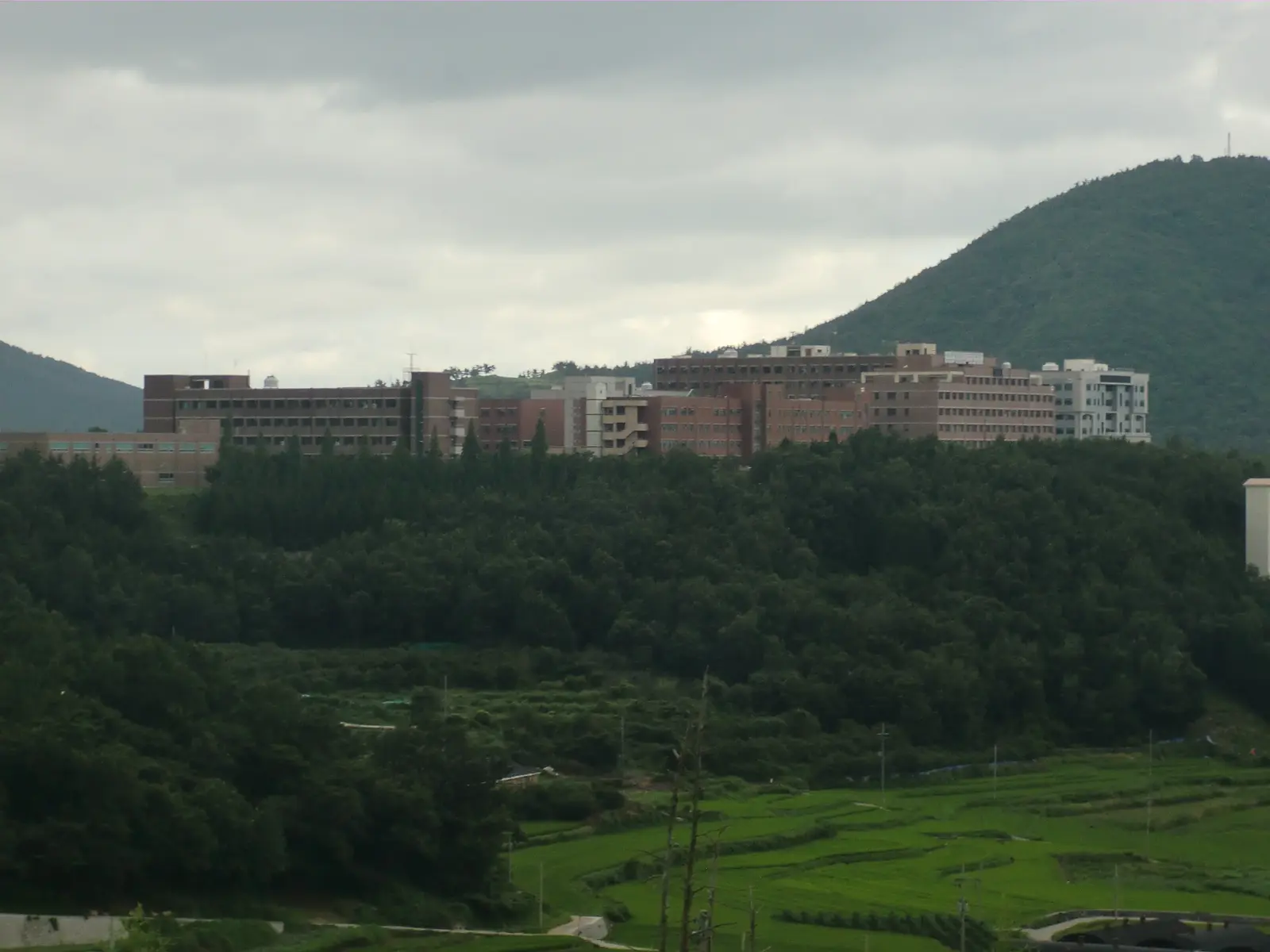 전남대학교 2