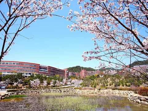 신라대학교