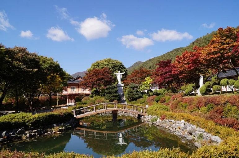 제주 감귤 농장 과수원 수확 스태프