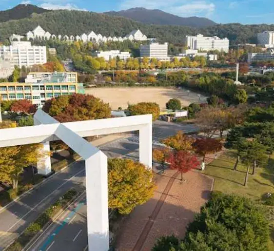 조선대학교 2