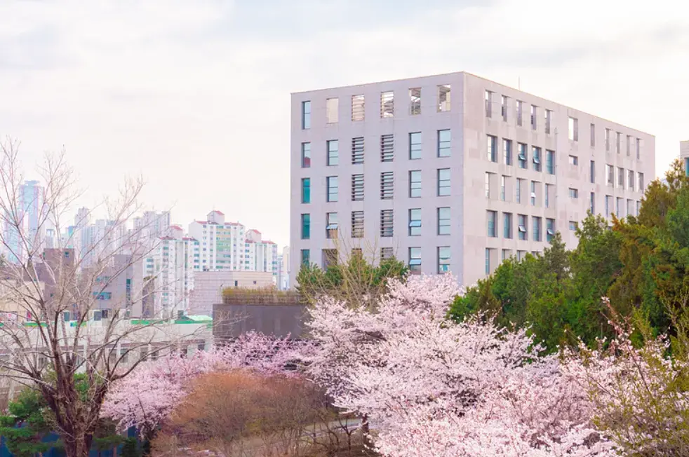 서강대학교 한국어교육원 3